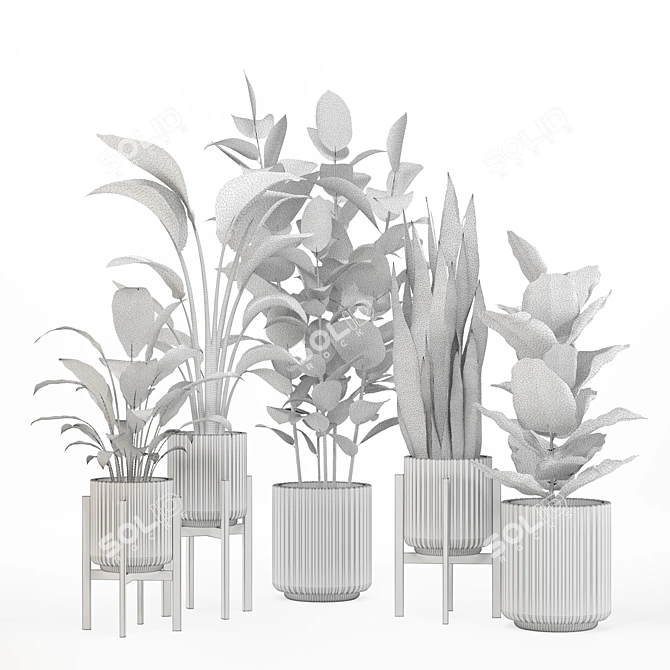 PBR-Optimized Indoor Plant Set 3D model image 2