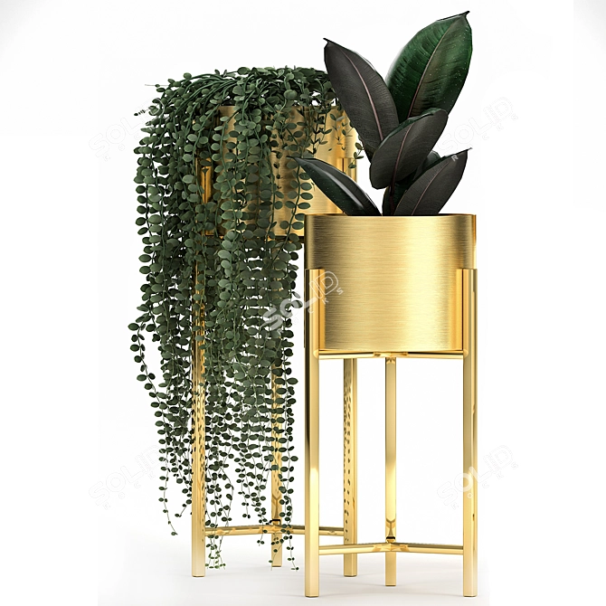 Tropical Plant Collection in Golden Pots 3D model image 3