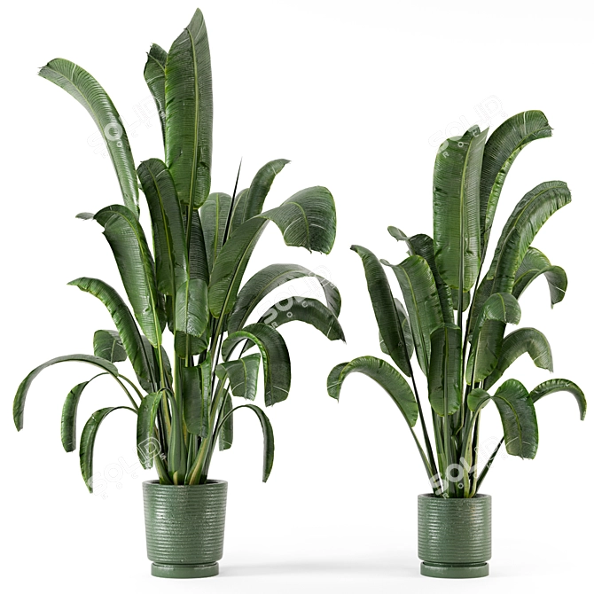 Concrete Pot Indoor Plants - Set 99 3D model image 1