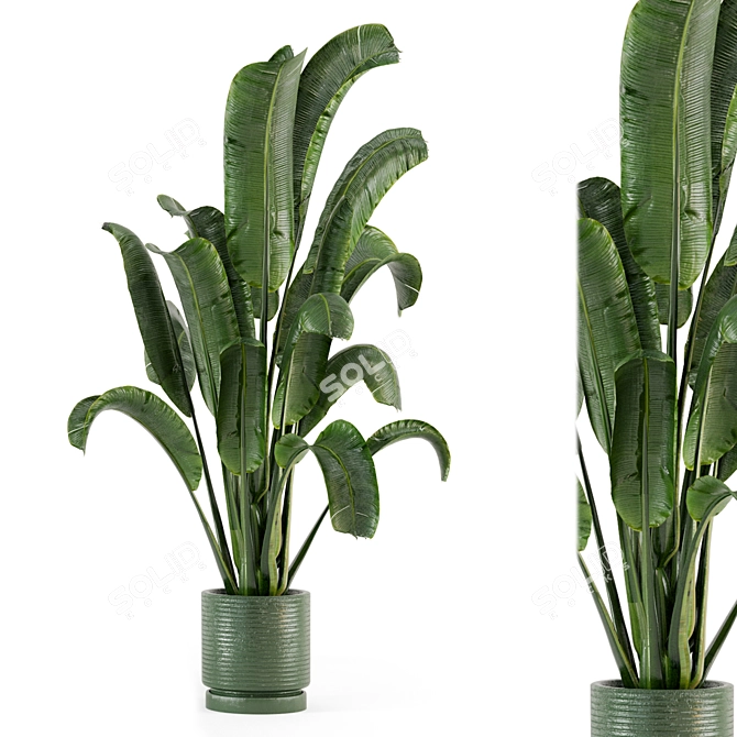 Concrete Pot Indoor Plants - Set 99 3D model image 2