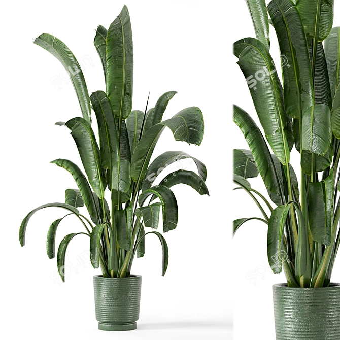 Concrete Pot Indoor Plants - Set 99 3D model image 3