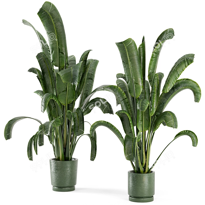 Concrete Pot Indoor Plants - Set 99 3D model image 4