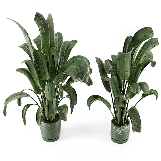 Concrete Pot Indoor Plants - Set 99 3D model image 5
