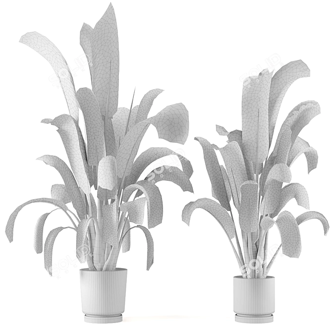 Concrete Pot Indoor Plants - Set 99 3D model image 7