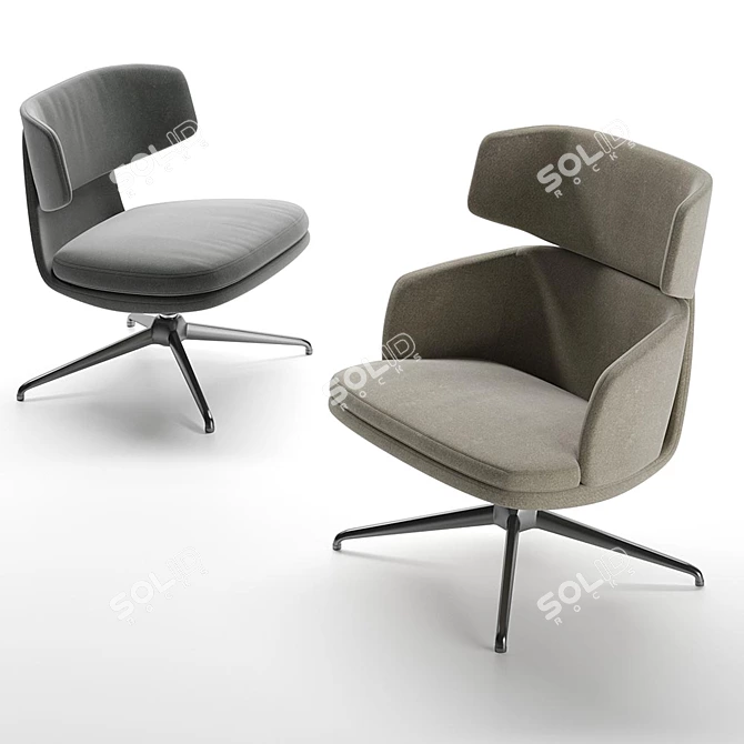 Piccadilly Molteni & C Armchair 3D model image 4