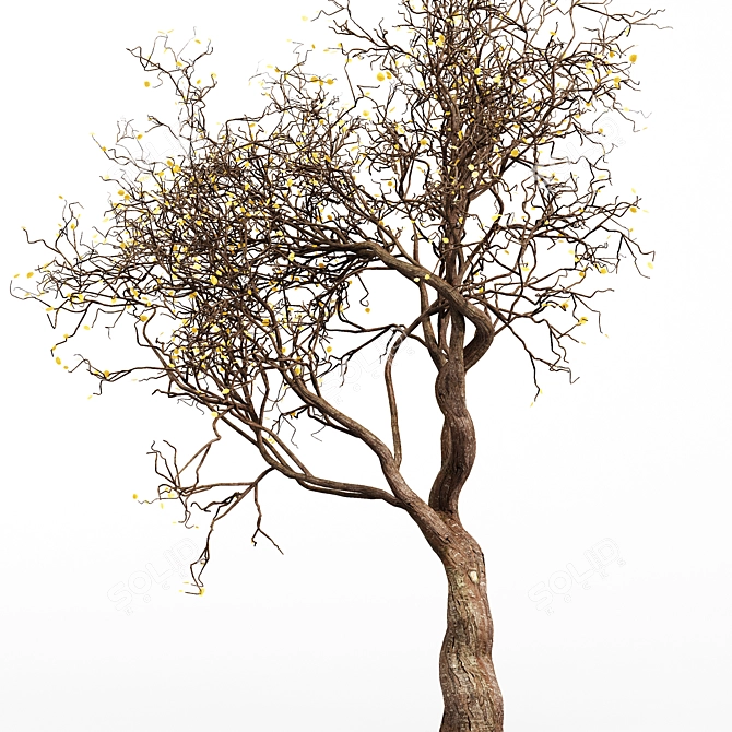 Ethereal Dead Tree Silhouette 3D model image 3