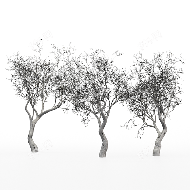 Ethereal Dead Tree Silhouette 3D model image 5