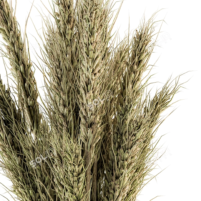 Golden Harvest Dried Wheat 3D model image 4