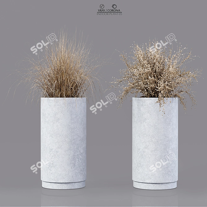 Premium Indoor Plant 05 3D model image 1