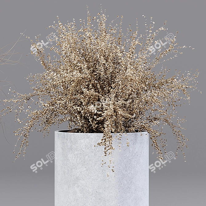 Premium Indoor Plant 05 3D model image 3