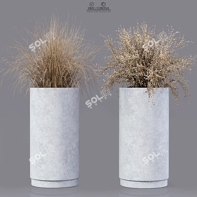 Premium Indoor Plant 05 3D model image 5