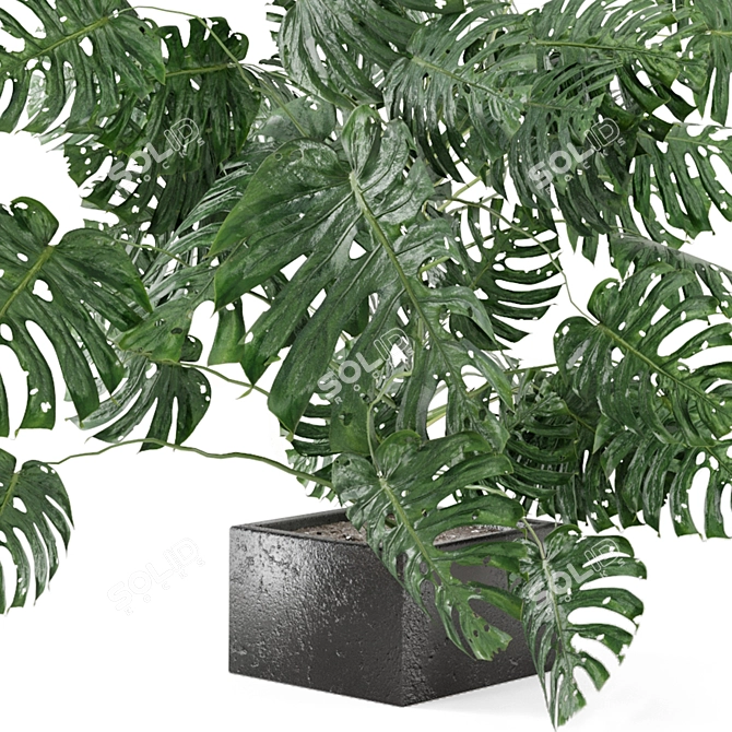 Exquisite Indoor Plant Collection 3D model image 4