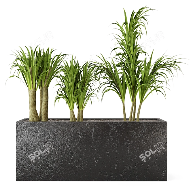 Exquisite Indoor Plant Collection 3D model image 1