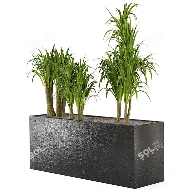 Exquisite Indoor Plant Collection 3D model image 2