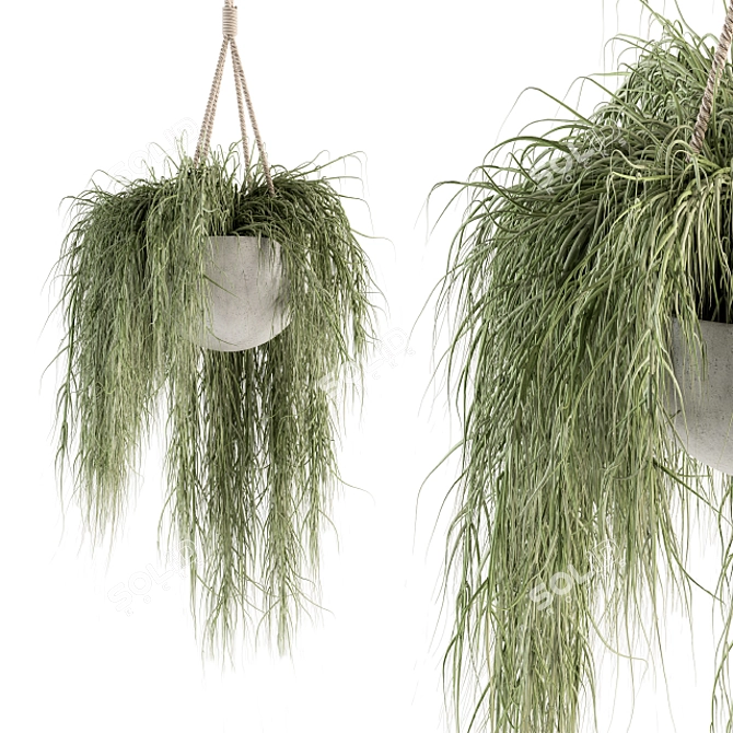 197 Indoor Hanging Plant Set 3D model image 2