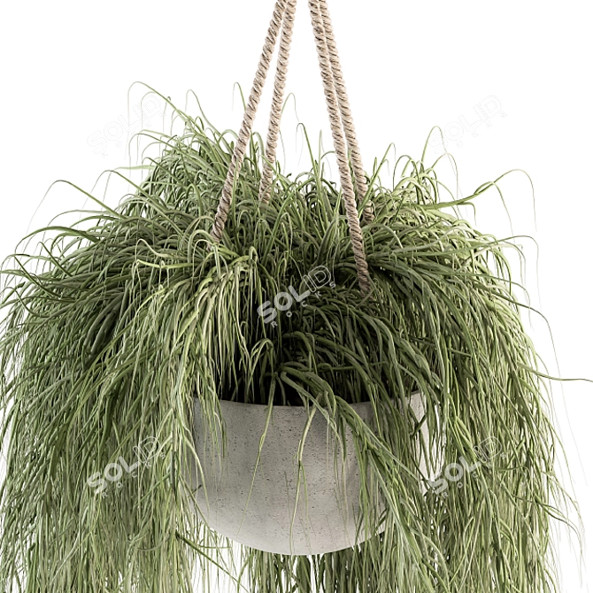 197 Indoor Hanging Plant Set 3D model image 3