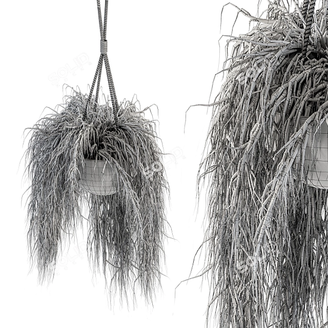 197 Indoor Hanging Plant Set 3D model image 5