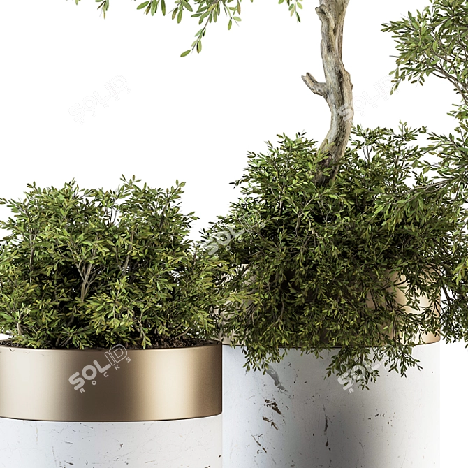 Nature's Haven: Indoor Plant Set 3D model image 2