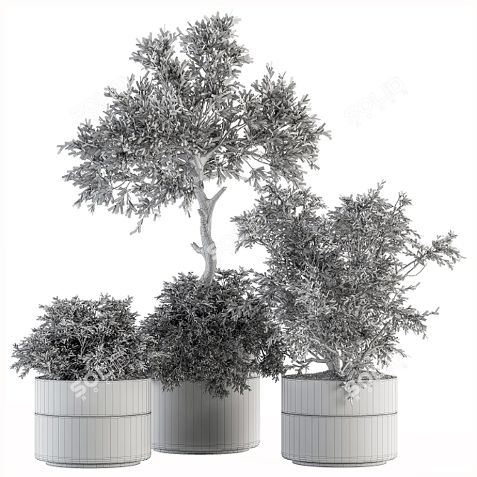 Nature's Haven: Indoor Plant Set 3D model image 5