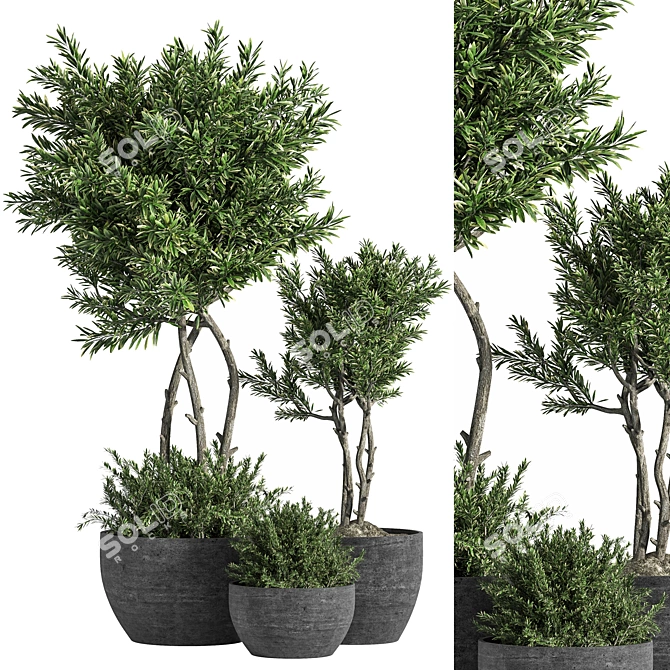 14-Piece Indoor Plant Set 3D model image 1
