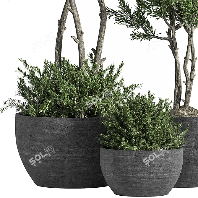 14-Piece Indoor Plant Set 3D model image 3