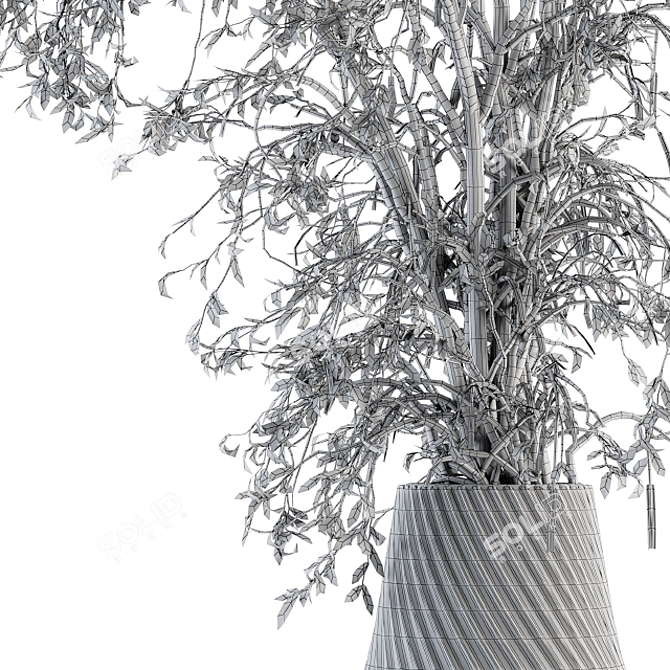 Elegance in a Vase - Dried Branch 3D model image 5