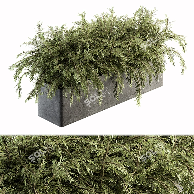 Green Oasis: Outdoor Plant Set 3D model image 1