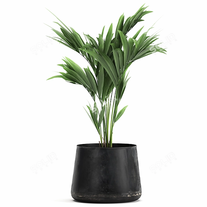 Exotic Plant Collection in Stylish Black Pots 3D model image 1