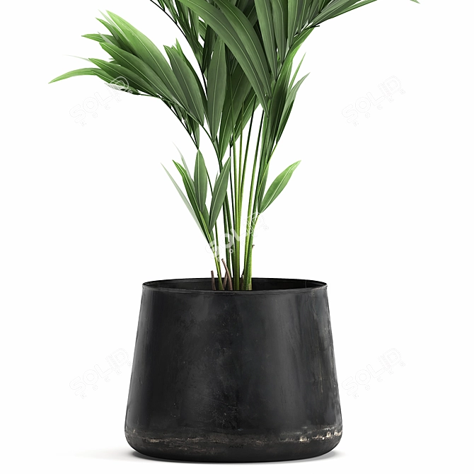 Exotic Plant Collection in Stylish Black Pots 3D model image 3