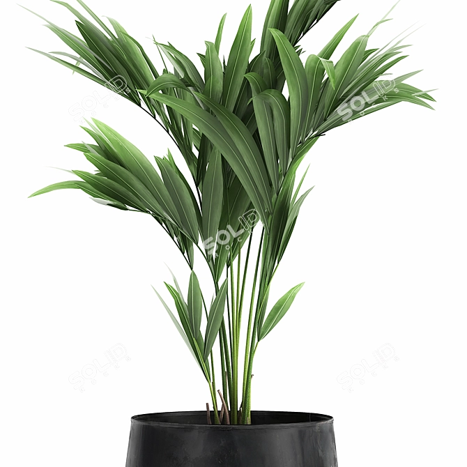 Exotic Plant Collection in Stylish Black Pots 3D model image 4