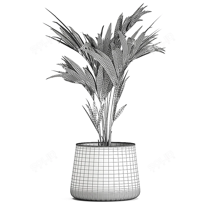Exotic Plant Collection in Stylish Black Pots 3D model image 6