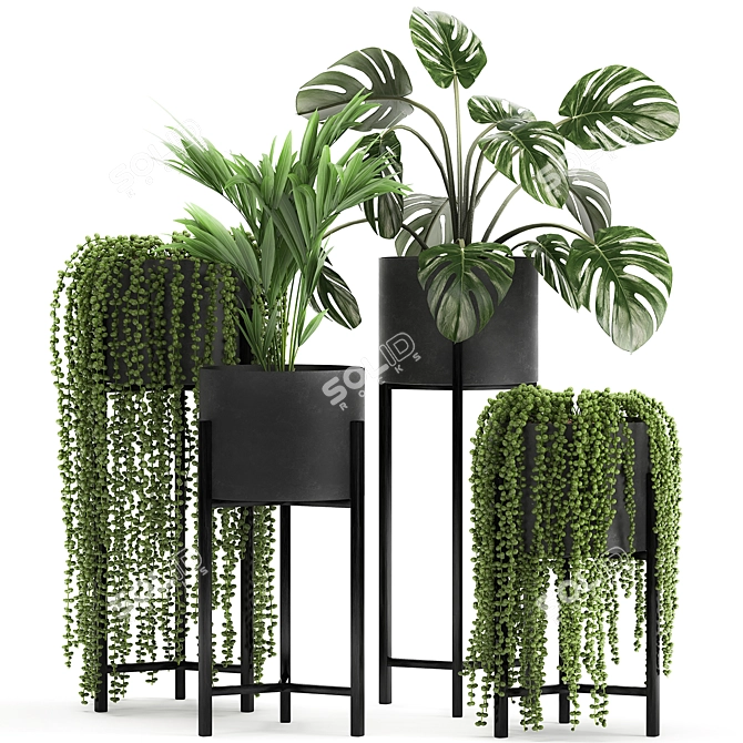 Exotic Plant Collection for Indoor and Outdoor Decor 3D model image 1