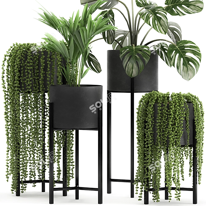 Exotic Plant Collection for Indoor and Outdoor Decor 3D model image 2