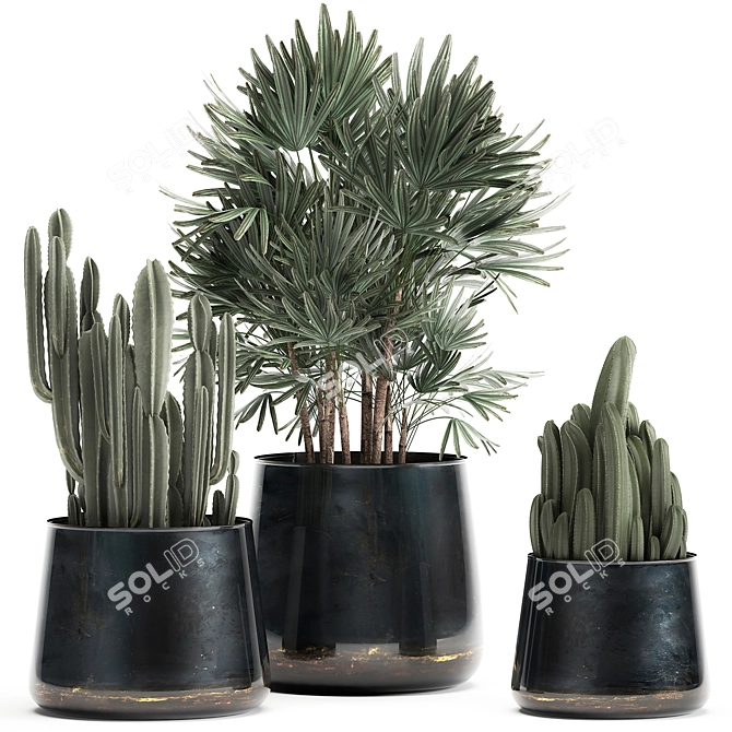 Tropical Plant Collection: Cereus, Raphis Palm & More 3D model image 1