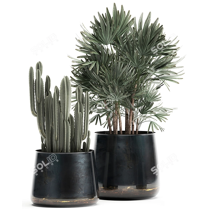 Tropical Plant Collection: Cereus, Raphis Palm & More 3D model image 2