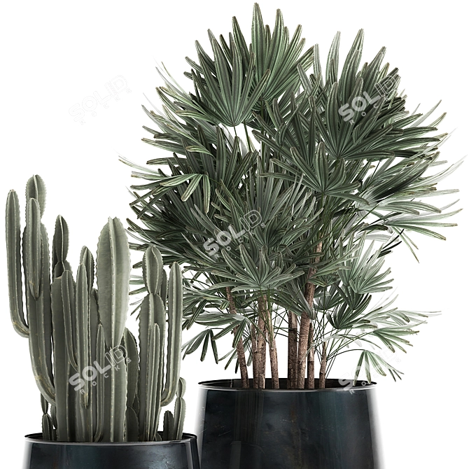 Tropical Plant Collection: Cereus, Raphis Palm & More 3D model image 3