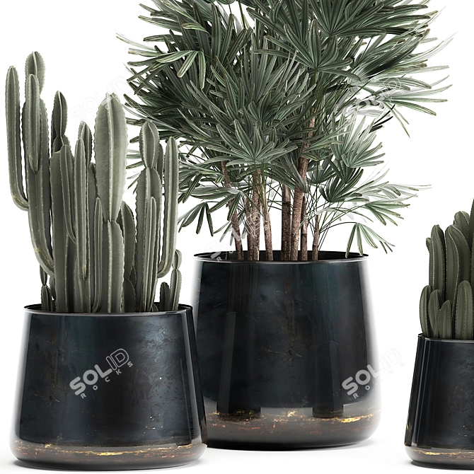 Tropical Plant Collection: Cereus, Raphis Palm & More 3D model image 5