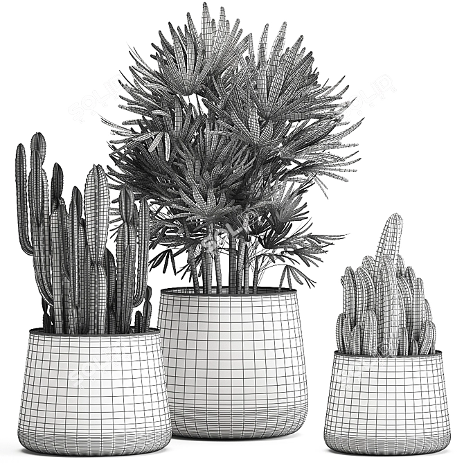 Tropical Plant Collection: Cereus, Raphis Palm & More 3D model image 6