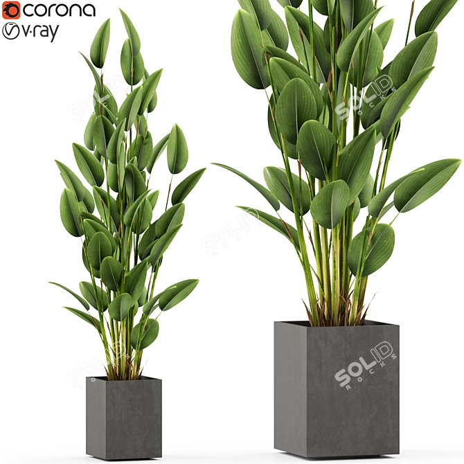 Green Oasis: 473 Exquisite Plants 3D model image 1