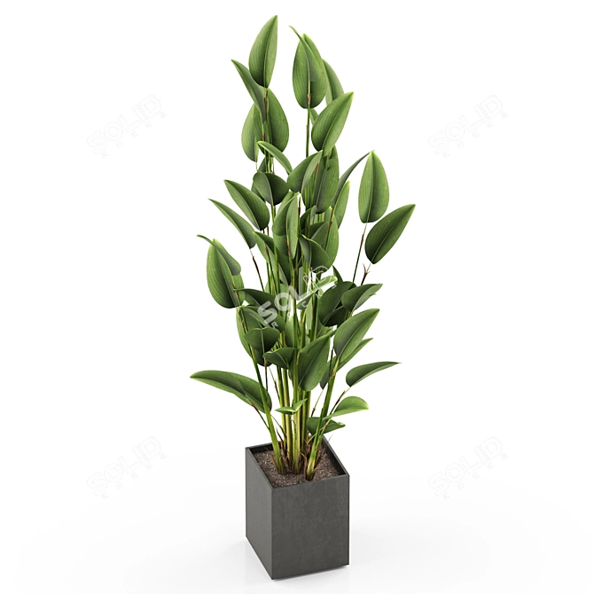 Green Oasis: 473 Exquisite Plants 3D model image 2