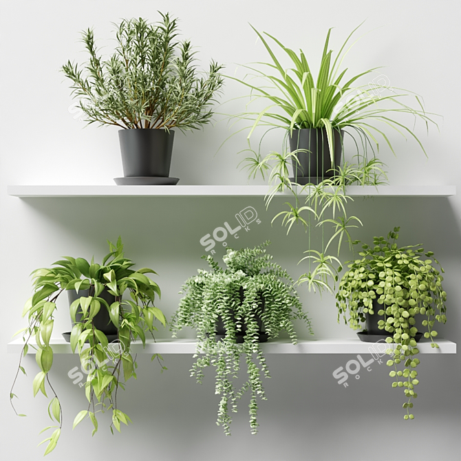 Greenery on Display: Potted Plants on Shelf 3D model image 1