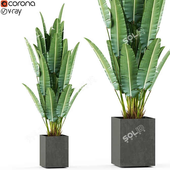 Botanical Oasis: 475 Varied Plants 3D model image 1