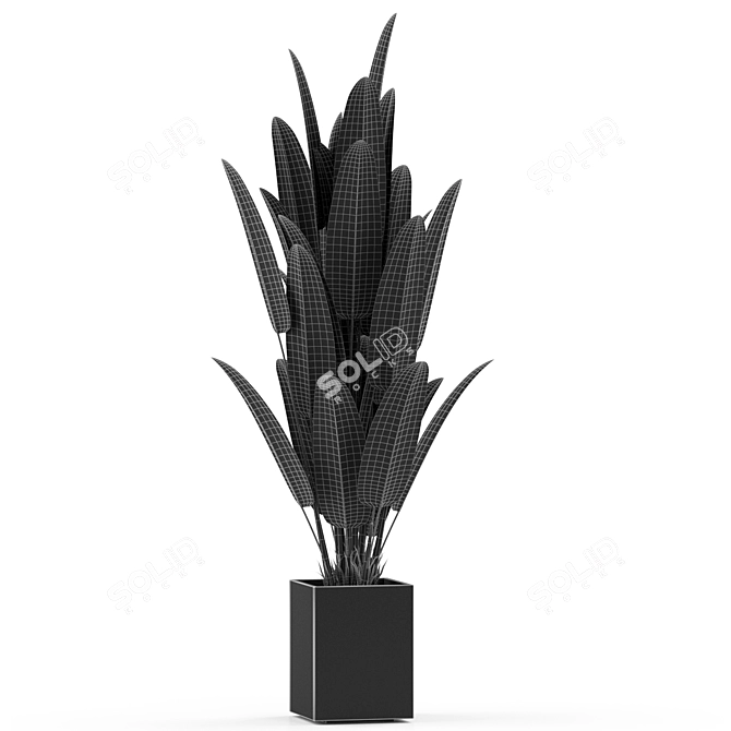 Botanical Oasis: 475 Varied Plants 3D model image 4