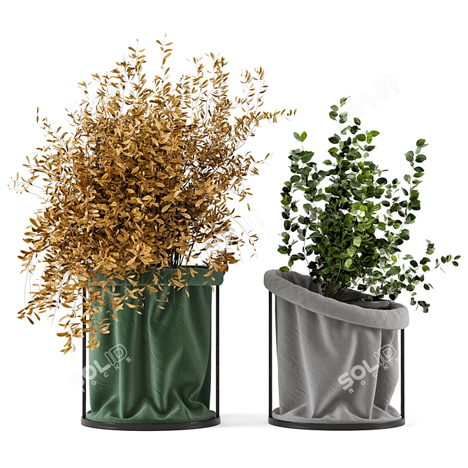 Elegant Indoor Plant Set 3D model image 1