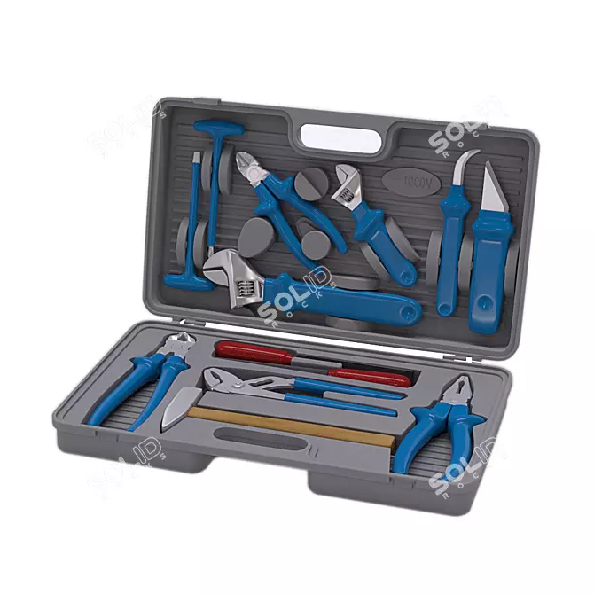 1000V Tool Set: 13-Piece Kit 3D model image 1