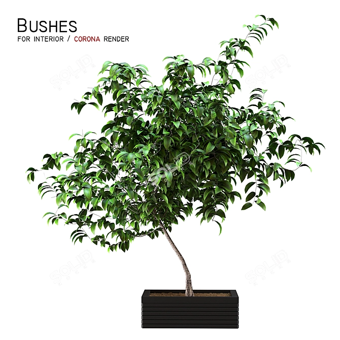 Interior Greenery: Bushes for a Refreshing Space 3D model image 1