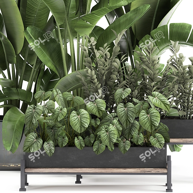 Tropical Plant Collection: Exotics for Indoor & Outdoor 3D model image 2