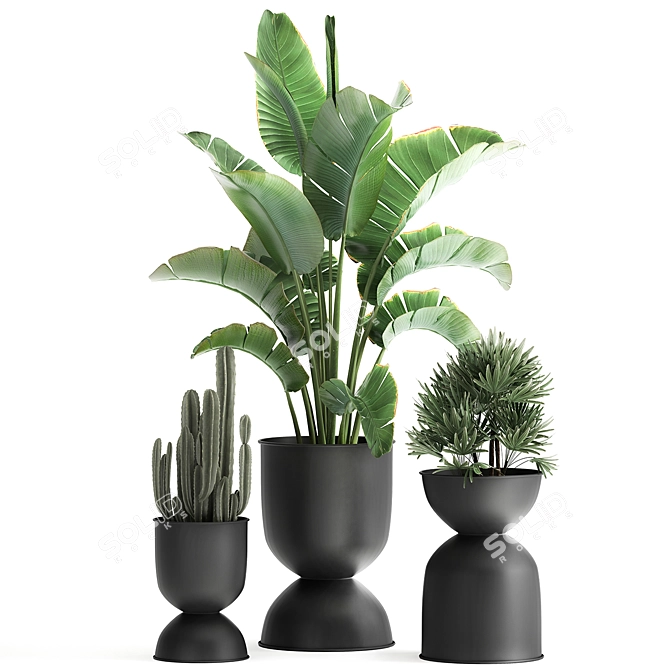 Tropical Chic Plant Collection 3D model image 1