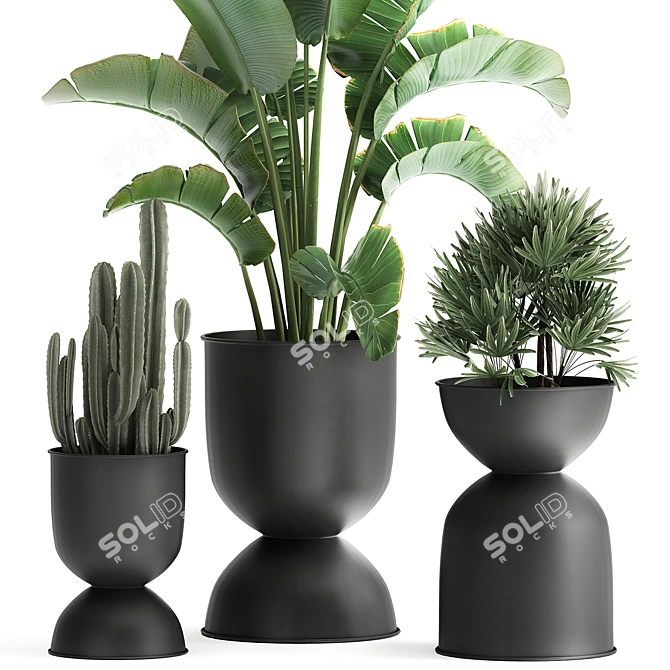 Tropical Chic Plant Collection 3D model image 2