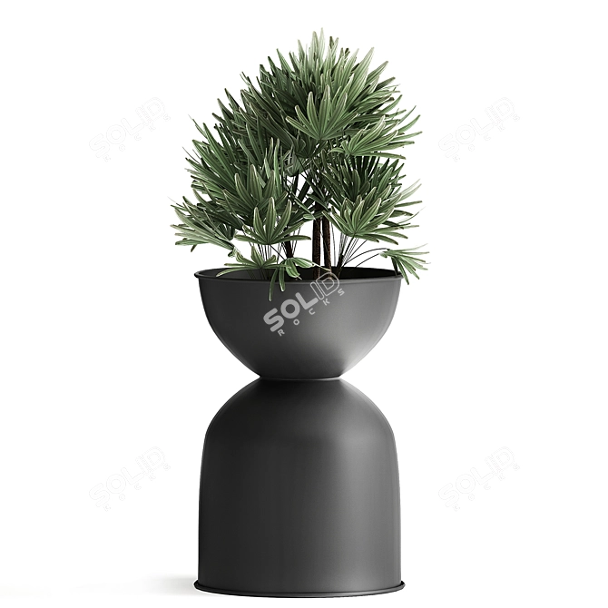 Tropical Chic Plant Collection 3D model image 3